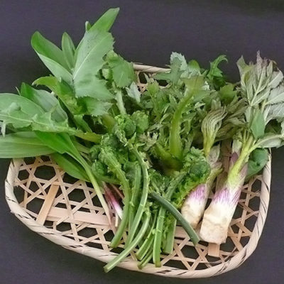 “Spring Sansai” Aomori Mountain Vegetables