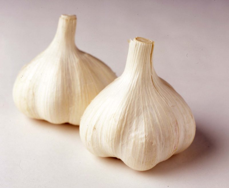 How to Select and Preserve Garlic