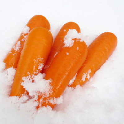 Fukaura Snow Carrots