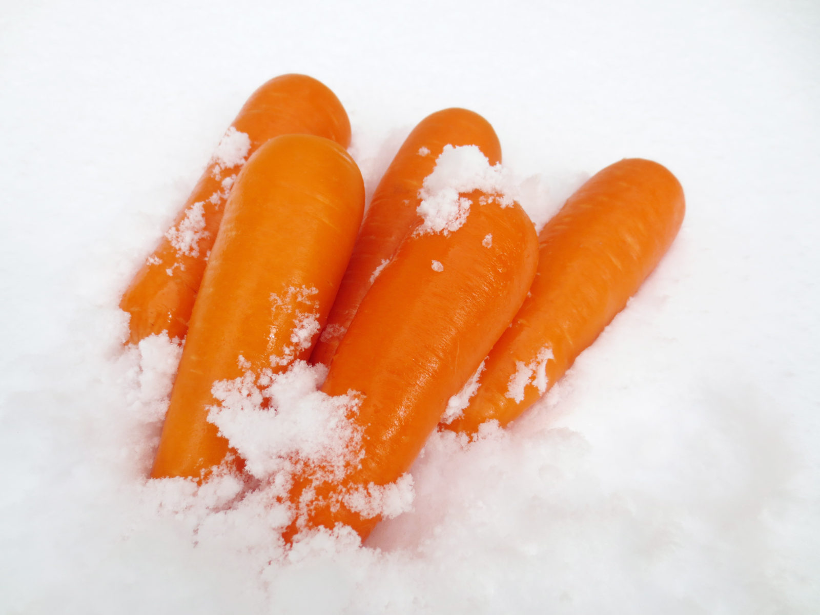 Fukaura Snow Carrots