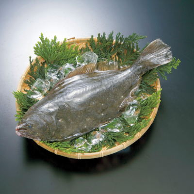 Aomori’s Fish “Flounder”